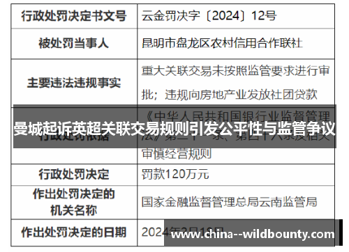 曼城起诉英超关联交易规则引发公平性与监管争议