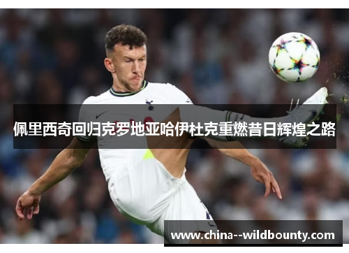 佩里西奇回归克罗地亚哈伊杜克重燃昔日辉煌之路