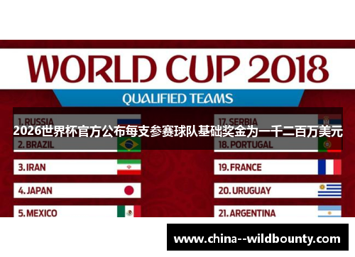2026世界杯官方公布每支参赛球队基础奖金为一千二百万美元